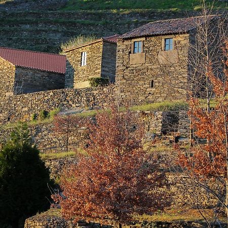 Cardenha Do Douro Villa Mesao Frio Phòng bức ảnh