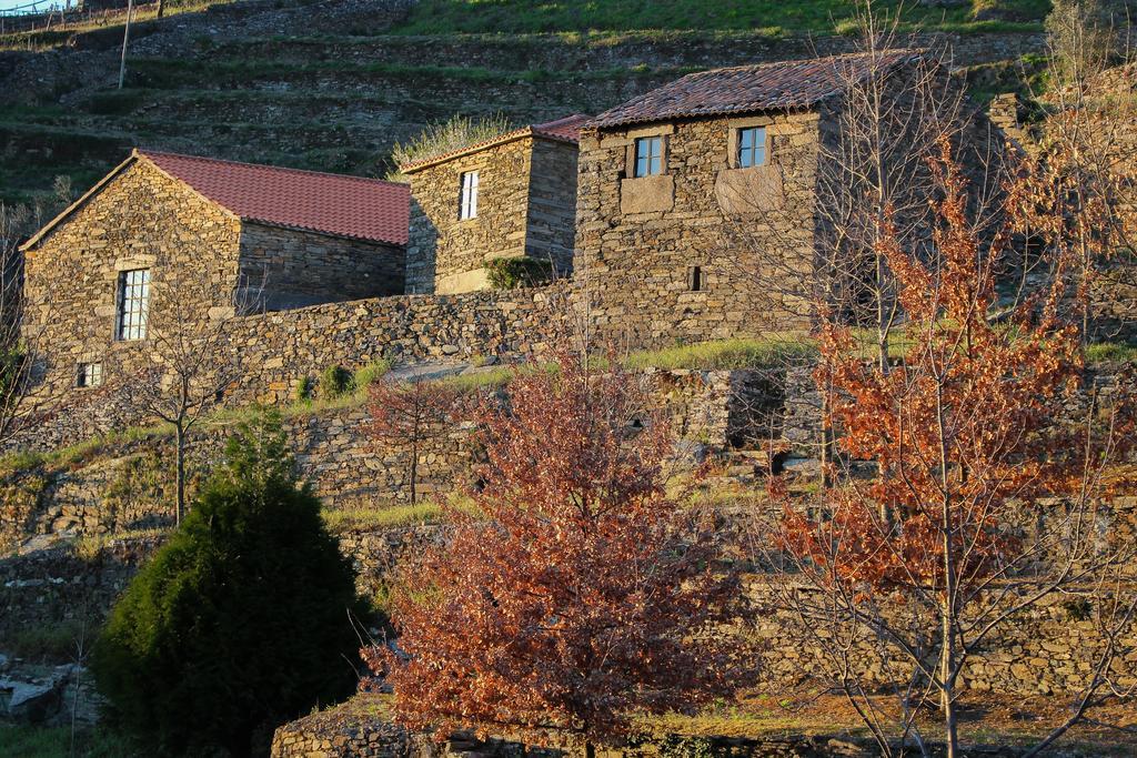 Cardenha Do Douro Villa Mesao Frio Phòng bức ảnh